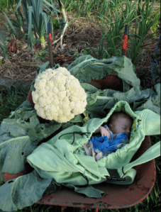 Screen shot 2013-06-19 at 9.23.56 PM