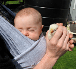 Screen shot 2013-06-19 at 9.31.33 PM