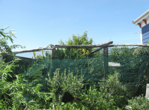 Screen shot 2014-01-18 at 7.19.11 AM