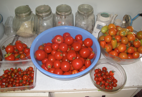 Screen shot 2014-02-25 at 5.23.49 PM