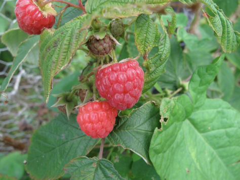 Screen shot 2014-02-25 at 5.24.19 PM