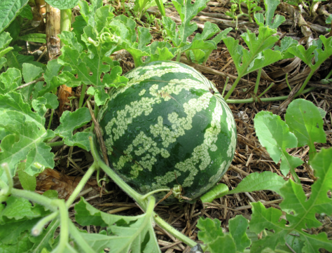 Screen shot 2014-02-25 at 5.24.37 PM