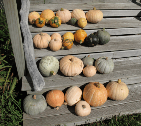 Screen shot 2014-02-25 at 5.25.21 PM