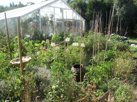 Screen shot 2014-03-18 at 8.03.43 AM