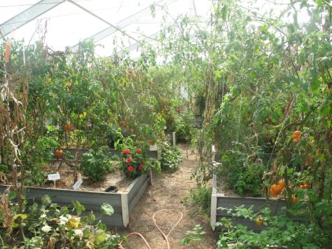 Screen shot 2014-03-18 at 8.03.52 AM