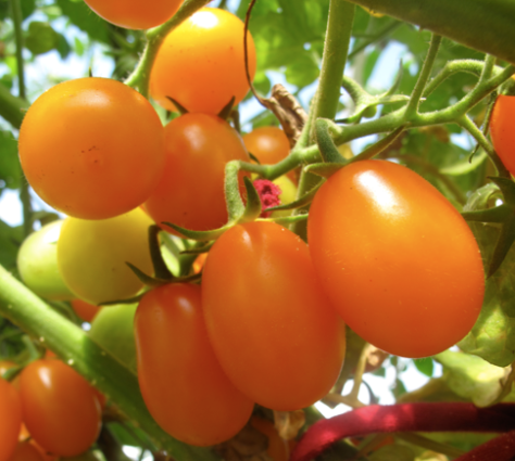 Screen shot 2014-03-18 at 8.04.56 AM