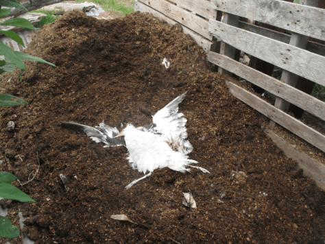 Screen shot 2014-03-21 at 10.28.53 AM