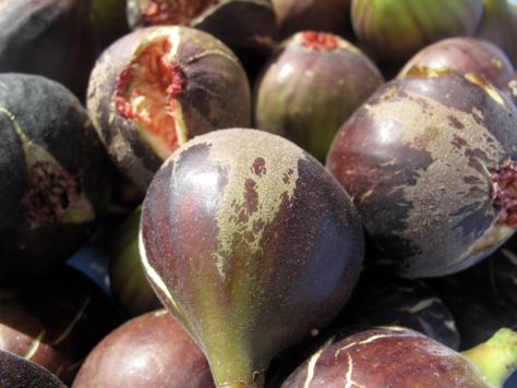 Screen shot 2014-03-24 at 9.28.58 AM