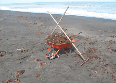 Screen shot 2014-03-24 at 9.30.30 AM