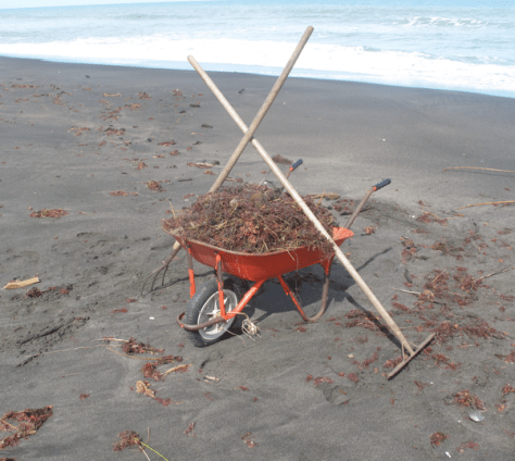 Screen shot 2014-04-01 at 8.50.35 AM