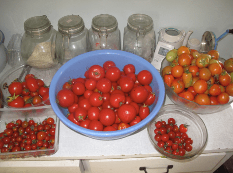 Screen shot 2014-04-18 at 9.30.40 AM