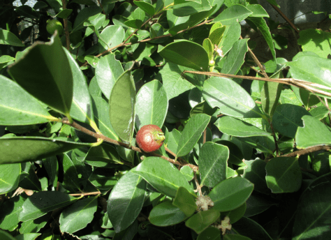 Screen shot 2014-04-22 at 7.52.27 AM