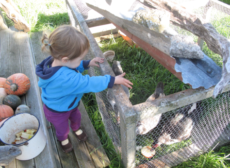 Screen shot 2014-05-04 at 7.51.39 AM