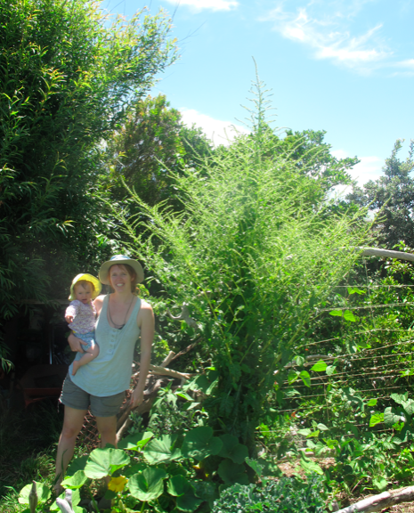 Screen shot 2014-05-11 at 9.12.17 AM