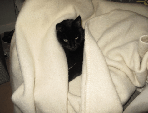 Screen shot 2014-05-30 at 5.39.09 PM