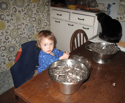 Screen shot 2014-06-11 at 8.00.03 AM