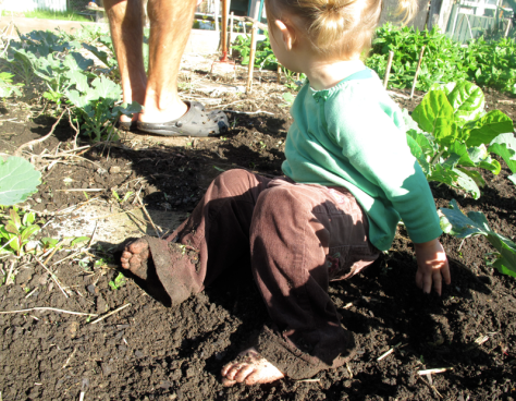 Screen shot 2014-06-11 at 8.05.31 AM