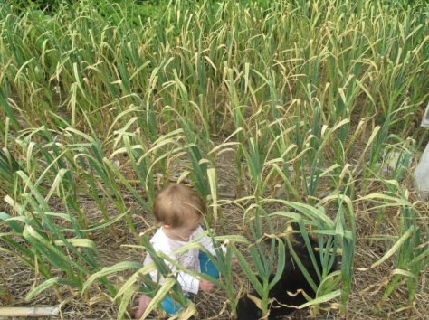 Screen shot 2014-06-14 at 7.30.57 AM