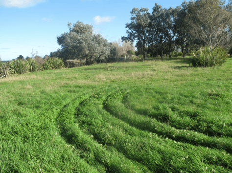 Screen shot 2014-07-02 at 8.17.09 AM