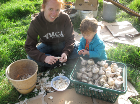 Screen shot 2014-07-02 at 8.17.33 AM