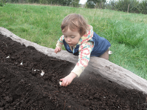 Screen shot 2014-07-02 at 8.22.55 AM