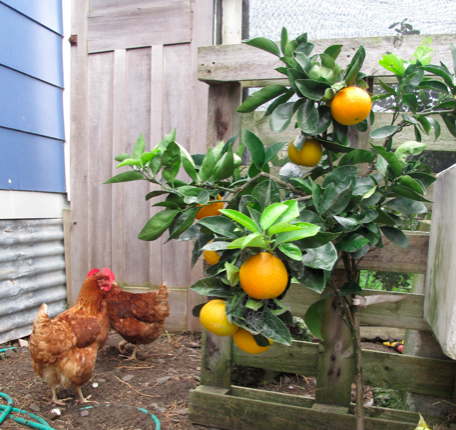 Screen shot 2014-07-13 at 8.10.14 AM