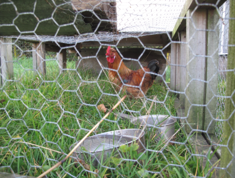 Screen shot 2014-08-04 at 7.30.47 PM