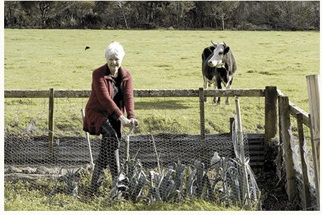 Screen shot 2014-08-29 at 5.48.06 PM