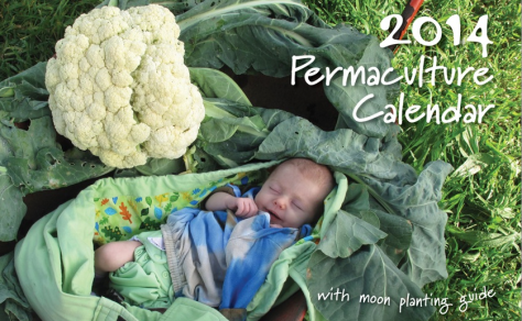 Screen shot 2014-09-12 at 6.56.46 PM