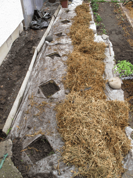 Screen shot 2014-09-23 at 5.26.41 PM