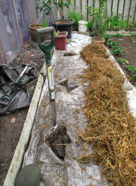 Screen shot 2014-09-23 at 5.26.59 PM