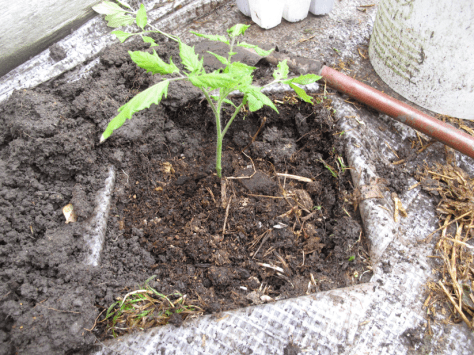 Screen shot 2014-09-23 at 5.27.12 PM