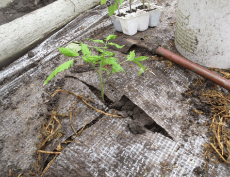 Screen shot 2014-09-23 at 5.27.20 PM