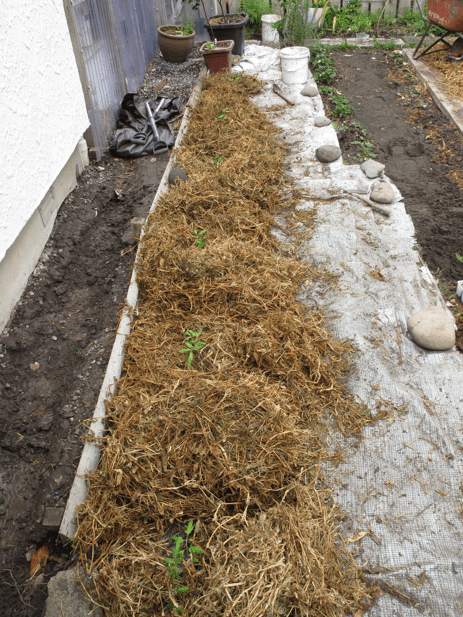 Screen shot 2014-09-23 at 5.27.35 PM