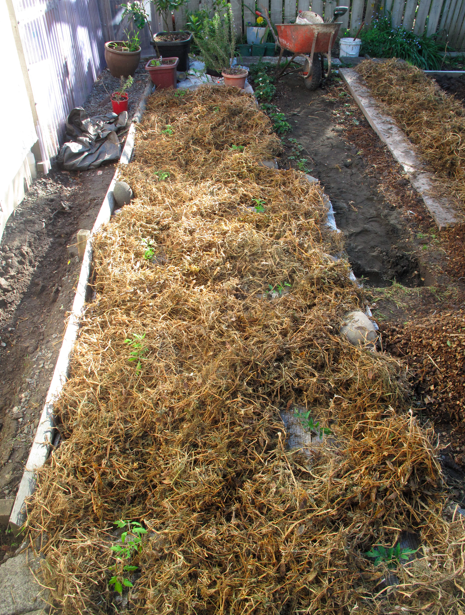 Screen shot 2014-09-23 at 5.27.48 PM