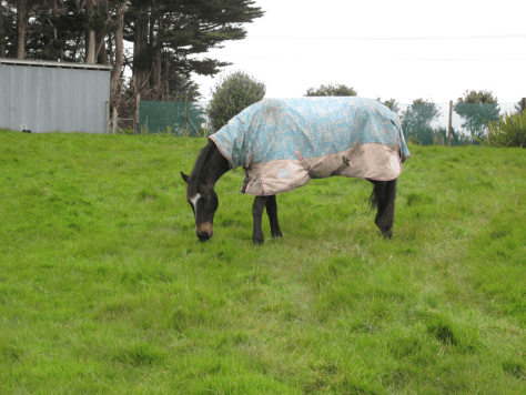 Screen shot 2014-09-29 at 7.00.07 AM