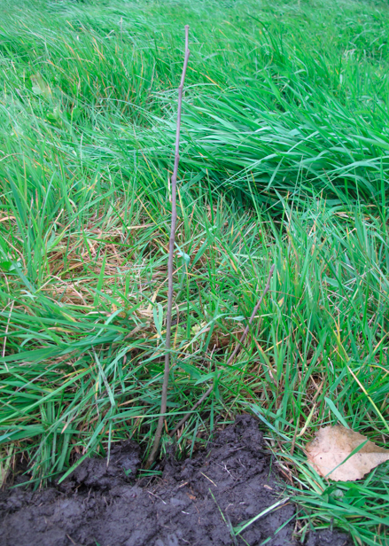 Screen shot 2014-09-29 at 7.00.36 AM