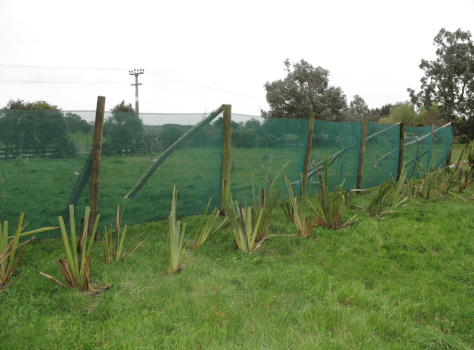 Screen shot 2014-10-06 at 5.19.10 PM