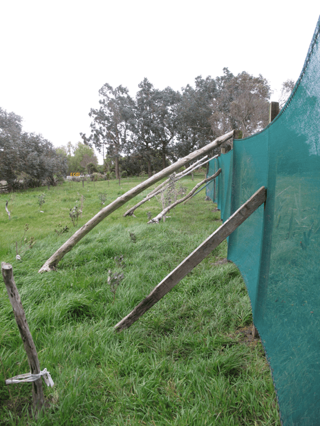 Screen shot 2014-10-06 at 5.19.22 PM