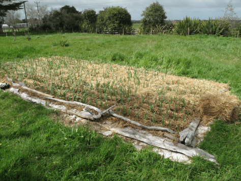 Screen shot 2014-10-06 at 5.19.45 PM