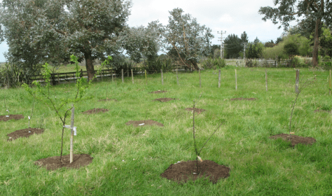 Screen shot 2014-10-06 at 5.19.55 PM