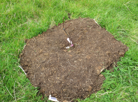 Screen shot 2014-10-06 at 5.20.06 PM