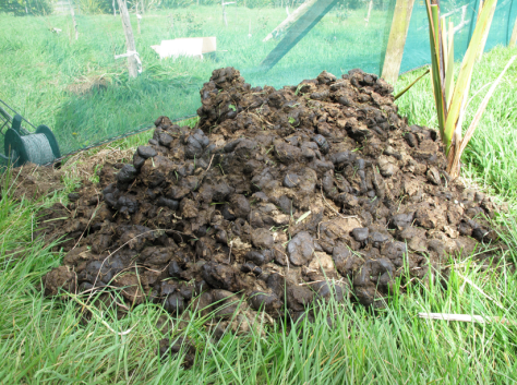 Screen shot 2014-10-06 at 5.20.43 PM