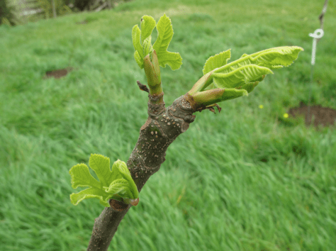 Screen shot 2014-10-06 at 5.20.53 PM