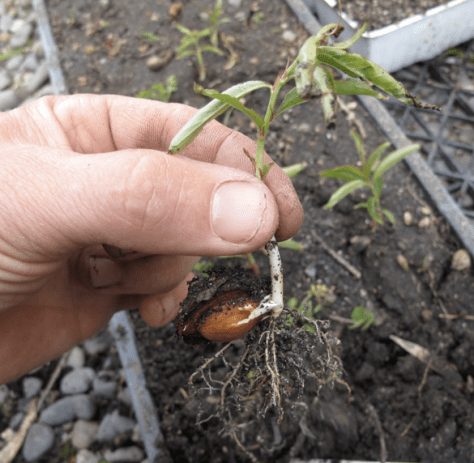 Screen shot 2014-10-13 at 6.30.46 AM