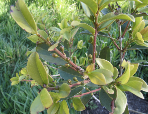 Screen shot 2014-10-13 at 6.33.13 AM