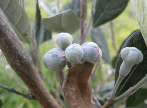 Screen shot 2014-10-13 at 6.33.23 AM