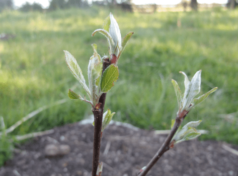 Screen shot 2014-10-13 at 6.33.35 AM