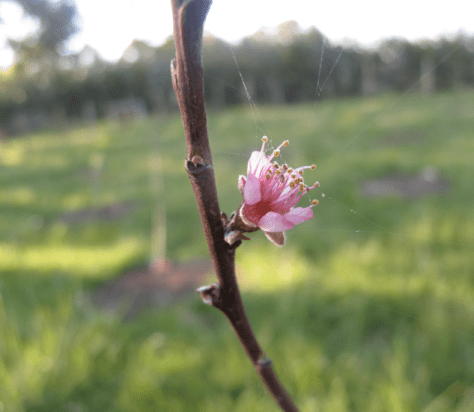 Screen shot 2014-10-13 at 6.33.58 AM