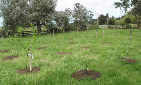 Screen shot 2014-10-21 at 10.04.27 AM